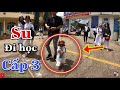 Tập 2: Chú chó đi hai chân Su Xí Xọn mặc ÁO DÀI nữ sinh đi học trường cấp 3 (dog walking on two leg)