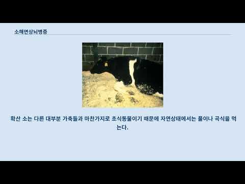 소해면상뇌병증