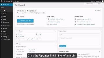 How to update your WordPress installation?