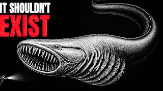 The Frilled Shark: Why It Shouldn't Exist