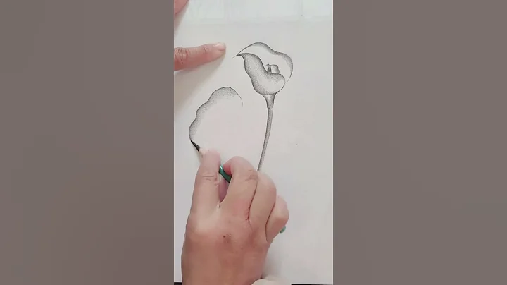 How to Draw a Beautiful Flower with pencil | Easy Flower Drawing | #shorts #flowers #drawing thumbnail