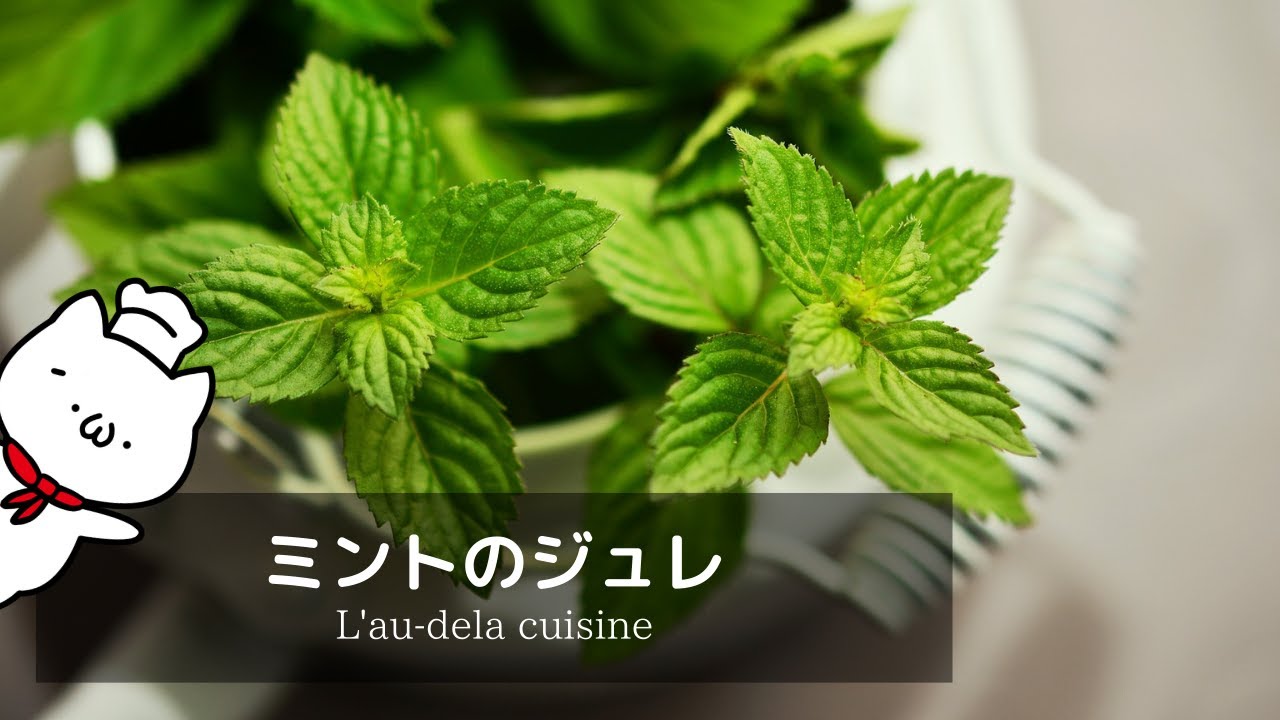 余ったミントの活用術 簡単な ミントのジュレ