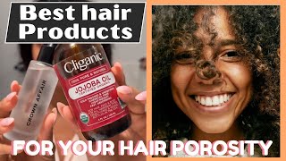 How to Choose the best Hair Products for your Hair Porosity | Hoe to find porosity of your Hair