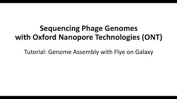 Tutorial 3. Genome assembly with Flye on Galaxy