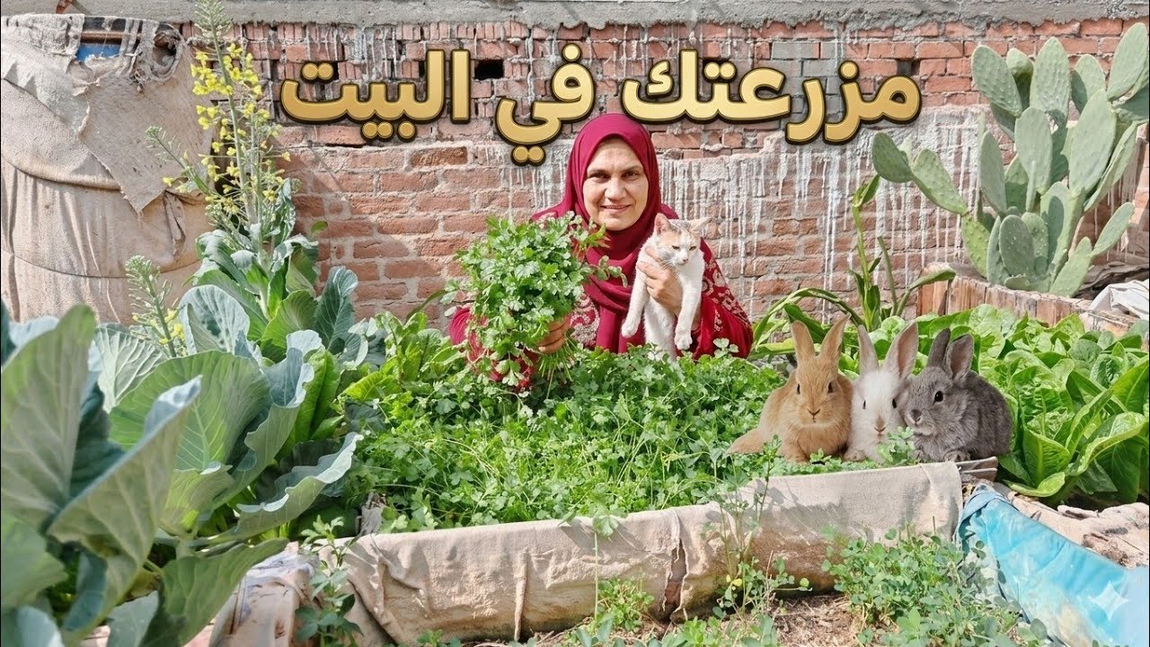 روتين متنوع بين الدواجن والزرع والمطبخ فى البيت