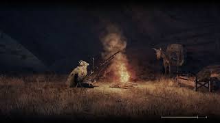 ELDEN RING Flickering Glitch 2