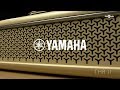 Yamaha THR10II series overview | Gear4music