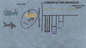 The Conservation Hierarchy