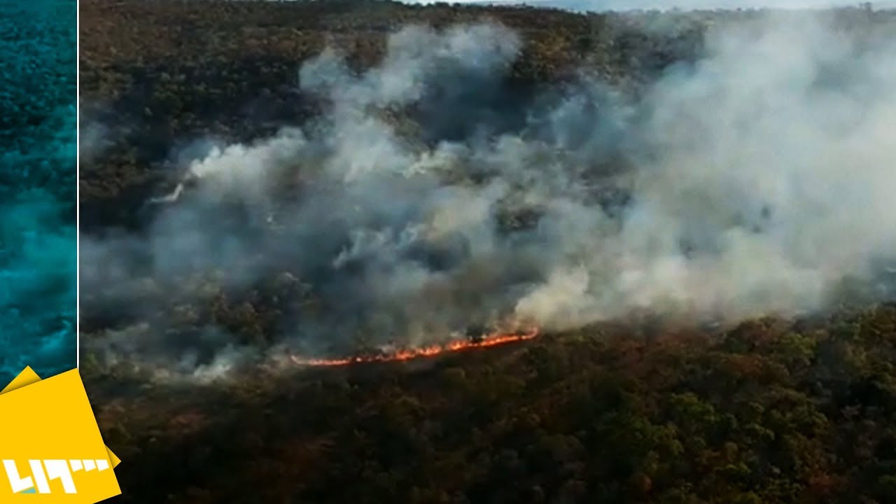 الحرائق تجتاح غابات الأمازون Youtube