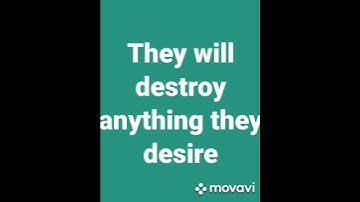 Why narcissists break your stuff