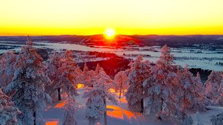[4K] Snow Covered Trees | Winter Forest | Relaxing Drone Footage | Meditation Music | Ambient Sound