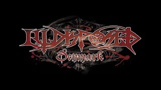 Illdisposed - In Light Of The Moon  - Live @ Club From Hell 2017