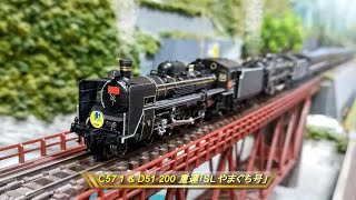 【Nゲージ鉄道模型】C57 1 & D51 200 重連「SLやまぐち号」