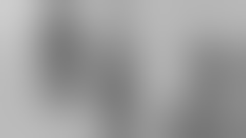 Executie van kampdokter Fritz Klein uit Belsen staat op lichamen | mijn eed zegt me om menselijke...