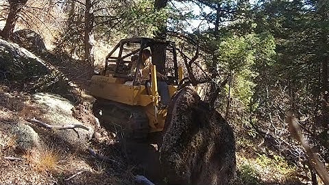 Building new ATV trail #trailwork #dozer