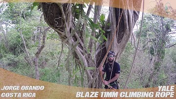 Yale Blaze 11mm Climbing Rope - TreeStuff.com Customer Jorge Obando