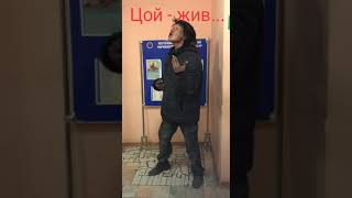 ЮМОР / ЦОЙ - ЖИВ! / ПРИКОЛЫ / СМЕШНОЕ ЮМОР / ЦОЙ - ЖИВ! / ПРИКОЛЫ / СМЕШНОЕ