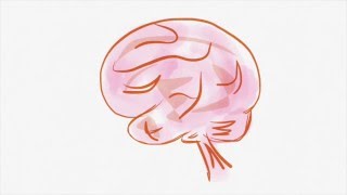 Stroke Symptoms PSA - 1st Place, Video Contest for Stroke Awareness