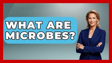 What Are Microbes? - Exploring The Benelux