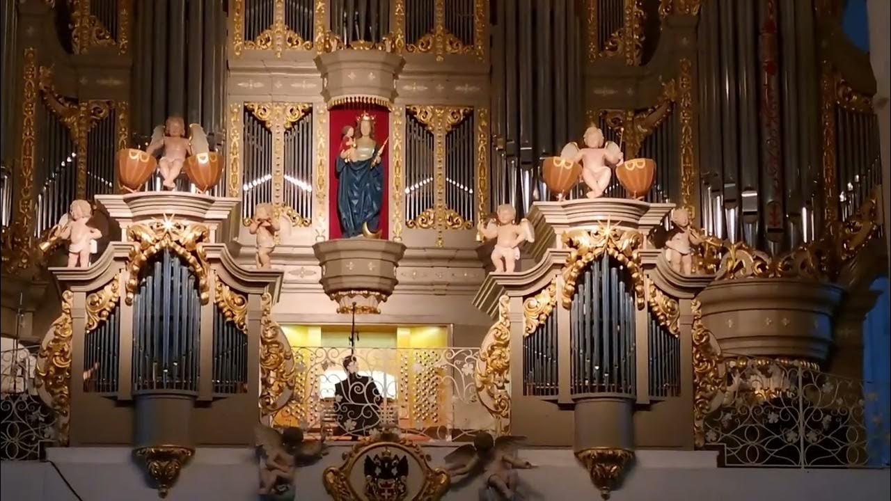 Органный концерт в калининграде. Органный концерт калининград сколько длится. Органный концерт калининград сколько длится. Органный концерт в калининграде. Большой орган в кафедральном соборе калининграда.