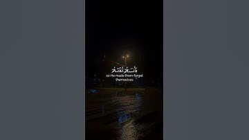 سورة الحشر بصوت خاشع ياسر الدوسري | تلاوة تهز القلوب #سورة_الحشر #ياسر_الدوسري #تلاوة_خاشعة