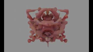 EXPERIMENT Endless Growing of Random Splines
