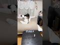 妻が口を聞いてくれません⋯