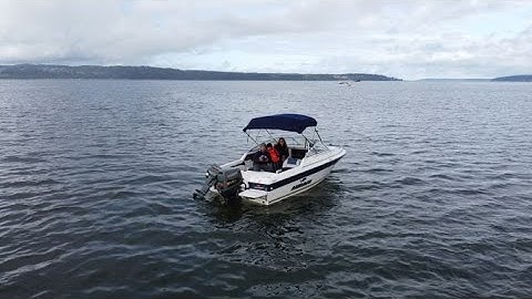 Dungeness Crab Catch and Cook Puget Sound