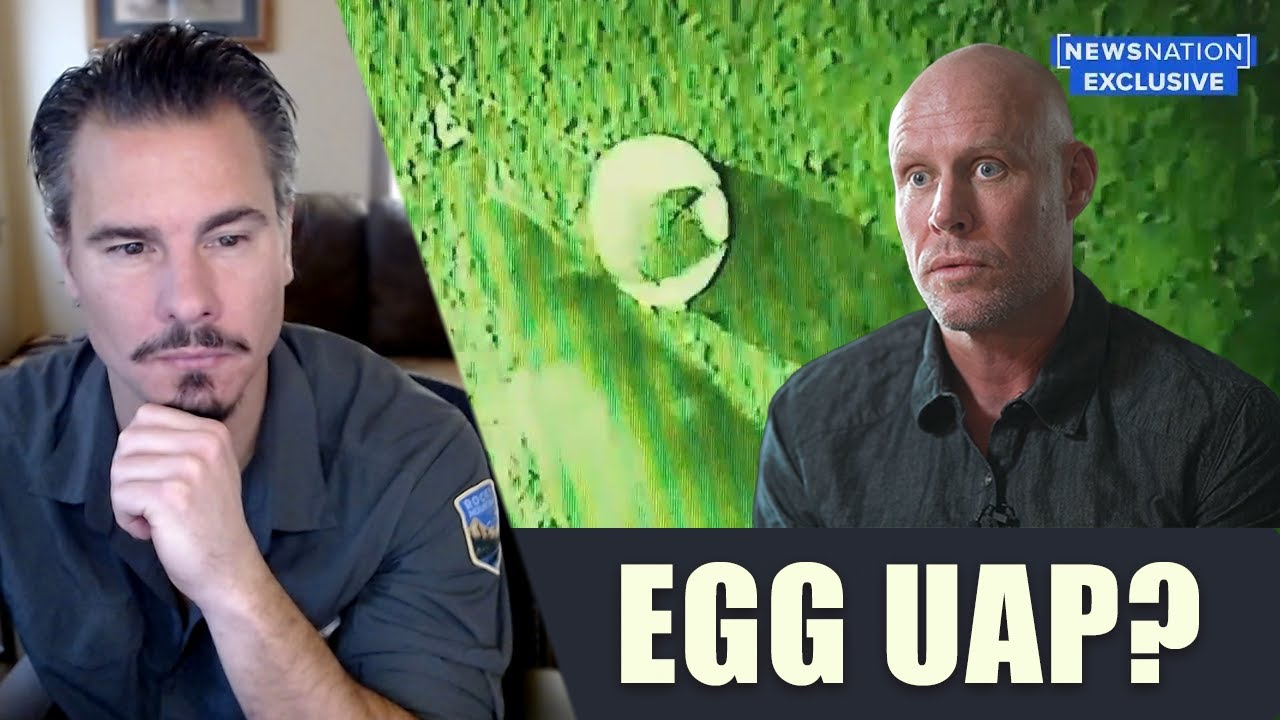 Egg-Shaped UAP Whistleblower | Review and Analysis - Timothy Albirino