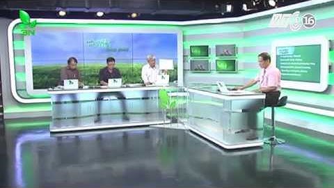 Chữa bệnh xuất huyết do liên cầu khuẩn Streptococcus ở cá rô phi