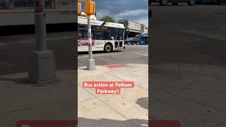NYCT and Bee-Line bus action around Pelham Parkway