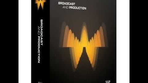 Waves Broadcast Audio Plugins for Video NLE Editors