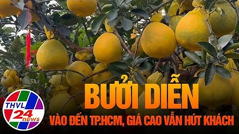 Bưởi Diễn vào đến TP.HCM, giá cao vẫn hút khách