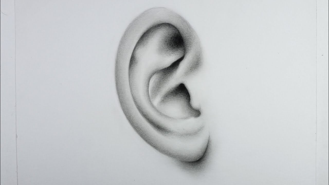 Ear Pencil Drawing  Рисунок носа Рисование Рисование лиц