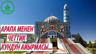 Арапа менен четтик кундун айырмасы. УСТАЗ БАКЫТ УСМАНОВ