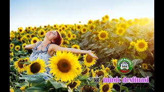 Mu Jalan Jalan Kampung Halaman ...