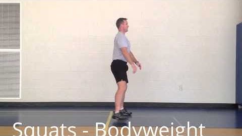StewSmith Fitness Library:  Squats (bodyweight)