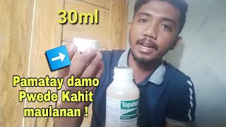 Topshot Herbicide 9-21 Days After Planting Pwede Kahit Maulanan Pagkatapos E Spray