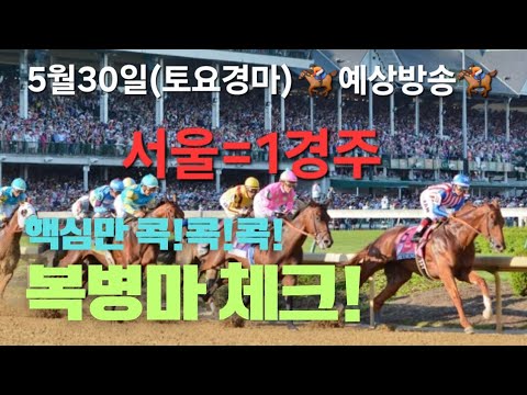[경마] 서울1경주 예상방송 5/30일(토요경마)