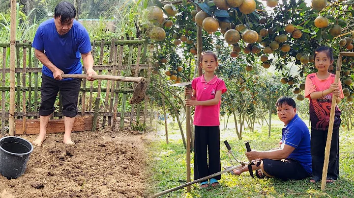 65 year old man works as a gardener - 2 orphans go to school - cooks - DayDayNews
