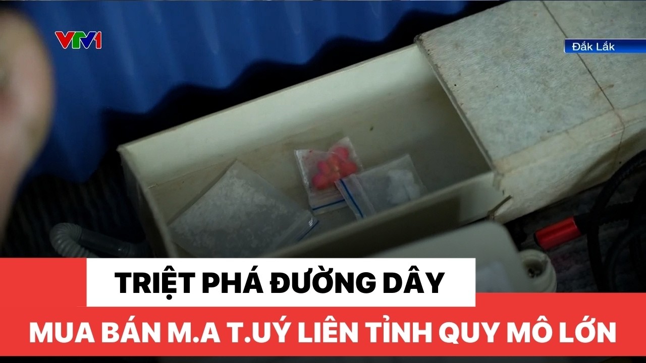 Triệt phá đường dây mua bán m.a t.uý liên tỉnh quy mô lớn
