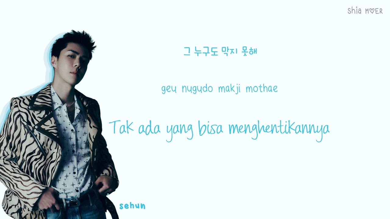 EXO (엑소) Cinderella [Han/Rom/Ina] Color Coded Lyrics Lirik Terjemahan