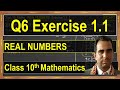 Q6,Ex 1.1, Real Numbers. Class 10th mathematics.