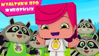 Йоко | Мультики Про Животных | Мультфильмы Для Детей