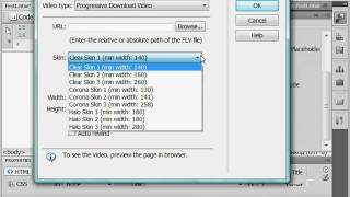 Добавление видео в формате flv в Adobe Dreamweaver CS4 (38/51) Добавление видео в формате flv в Adobe Dreamweaver CS4 (38/51)