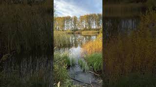 Эх, а какая красивая рыбалка летом и осенью была #жизнь #счастье #рыбалка #nature #природа
