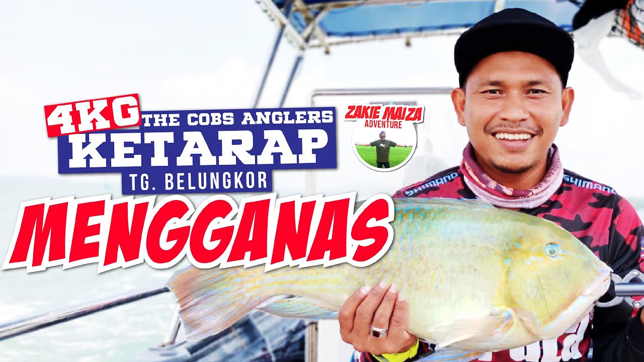 Siapa Cakap Kongkong Takde Ketarap.. 4kg Ketarap Tanjung Belungkor