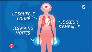 Comment vaincre la peur de l'avion ?
