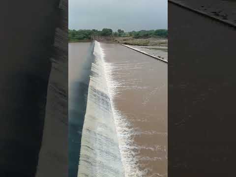 River Wow Shortbyshort Neture 2025