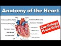 Anatomy of the heart structures and blood flow cardiology made easy
